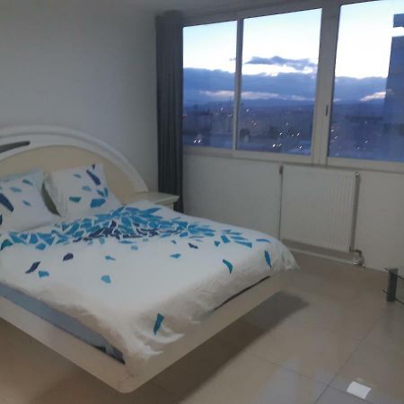 Appartement Laurent Bonnevay Вийёрбан Экстерьер фото
